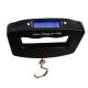 Digital Luggage Weighing Scales in...